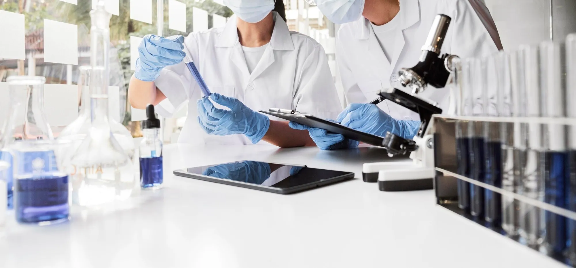 Antimicrobial Testing and analyzing