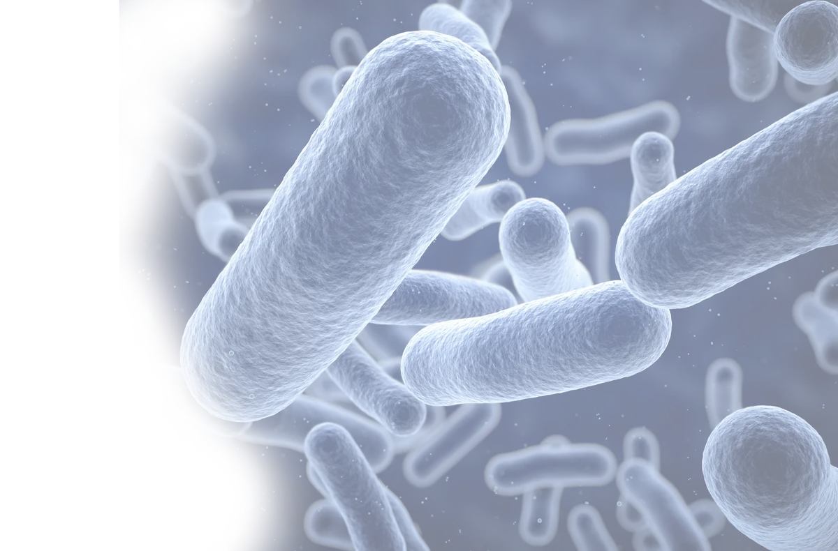 Bacteria background