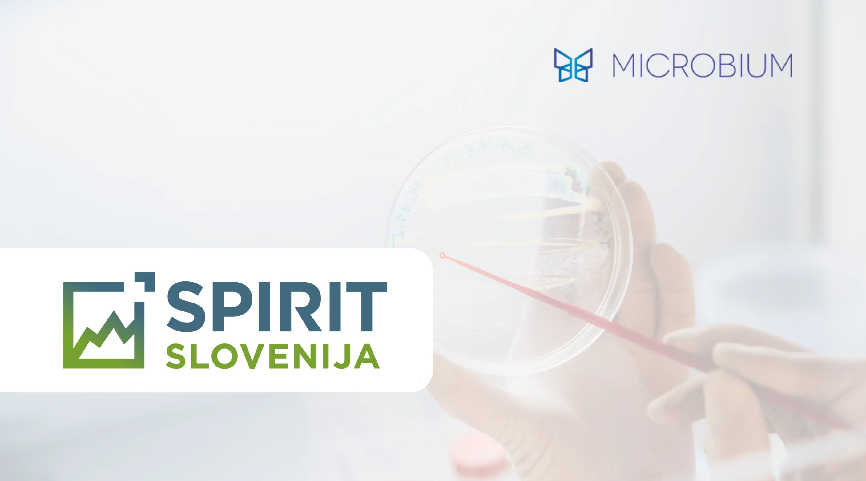spirit slovenija project