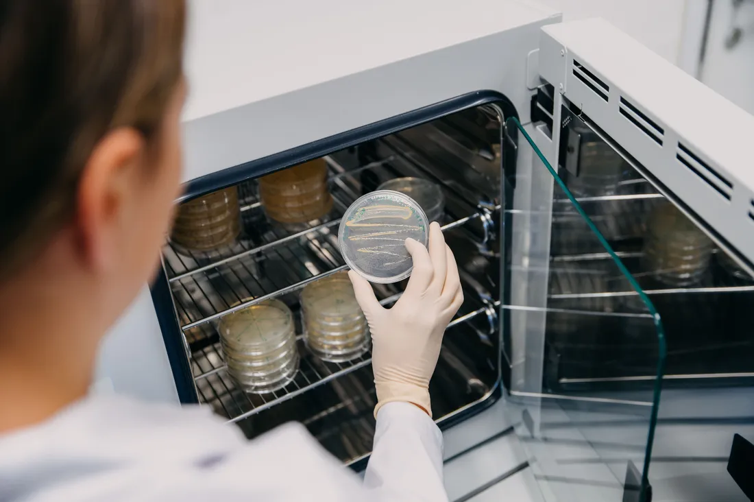 Sample image thumbnail