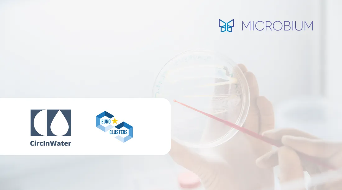 circInWater post cover photo