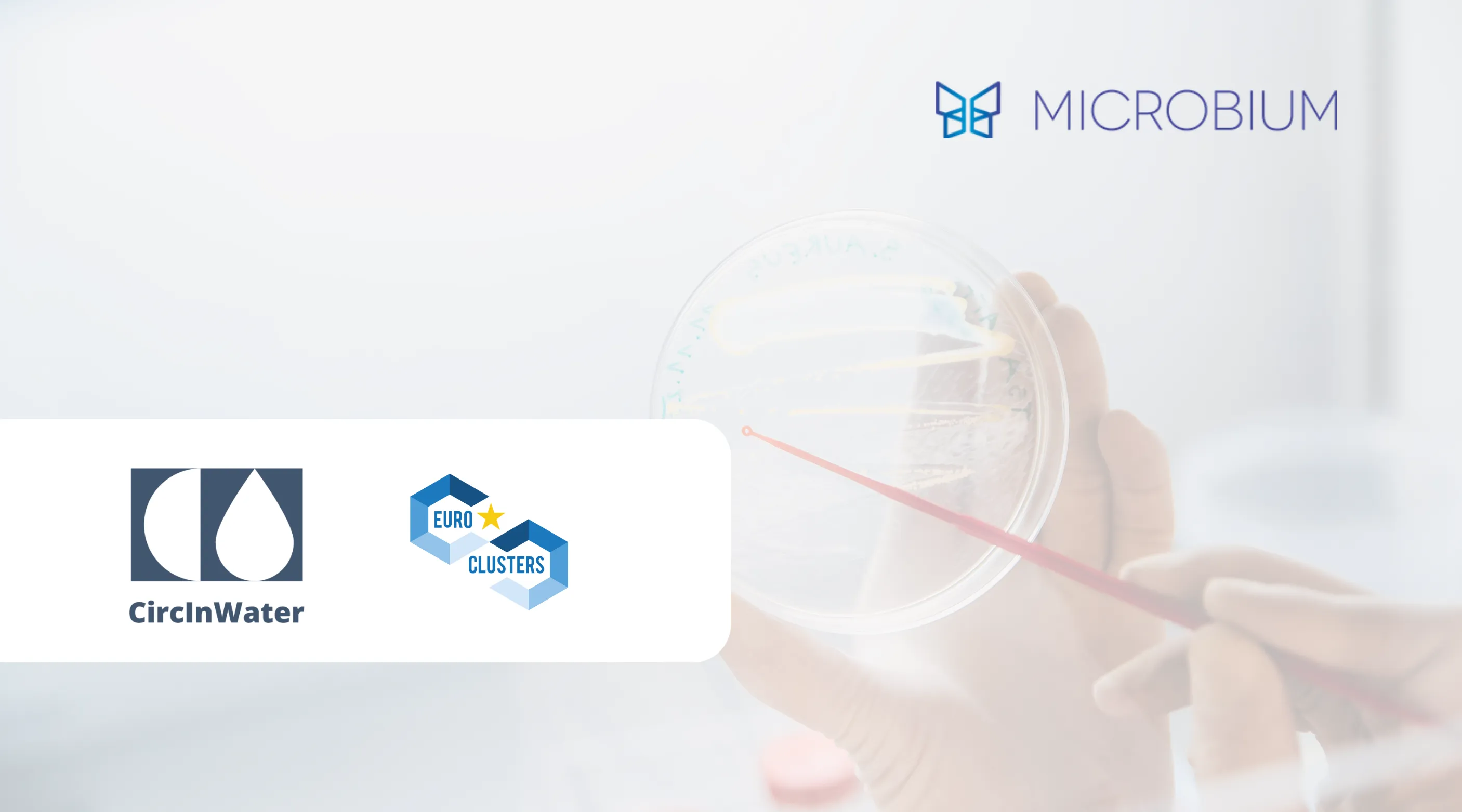 circInWater post cover photo
