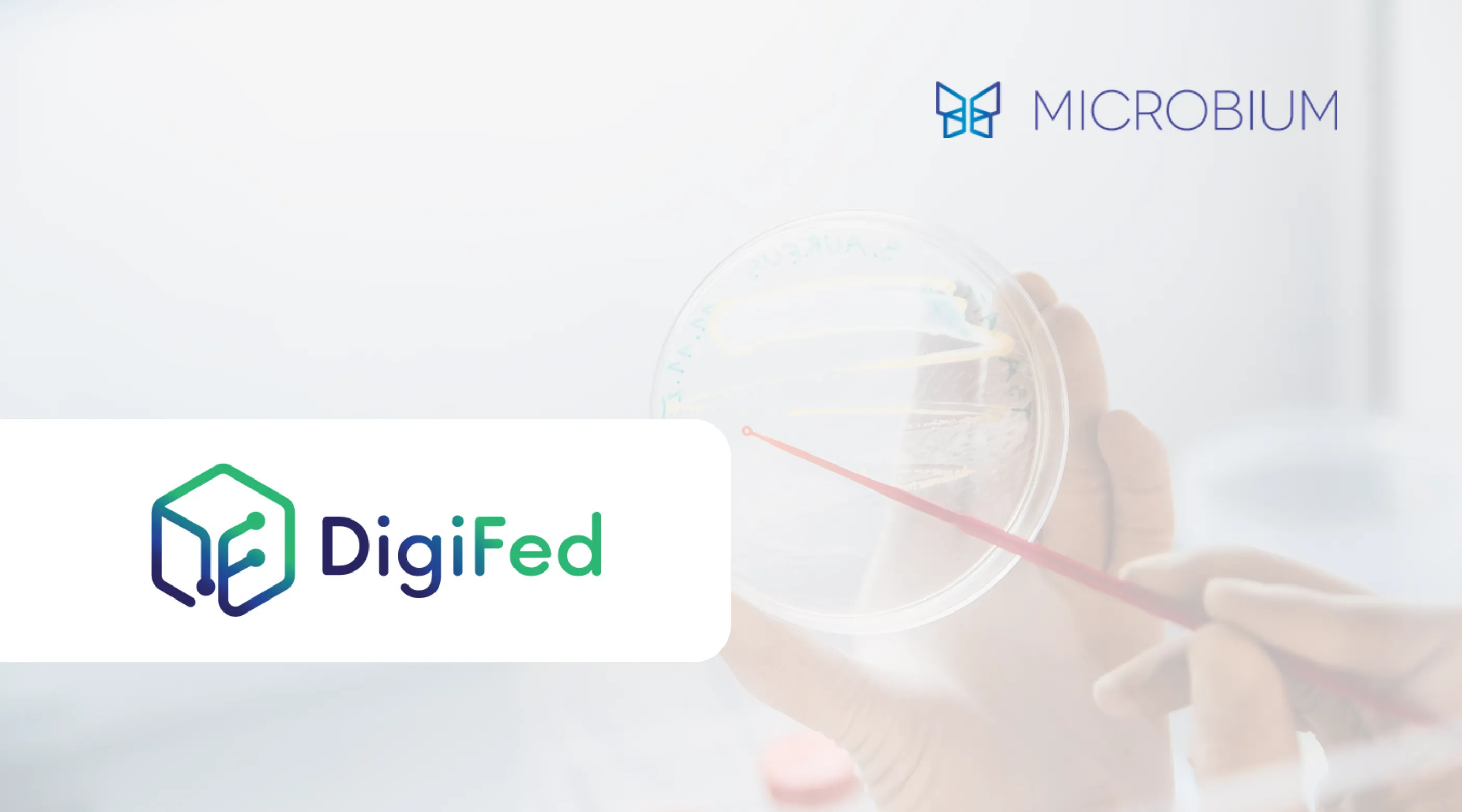 DigiFed project description cover photo