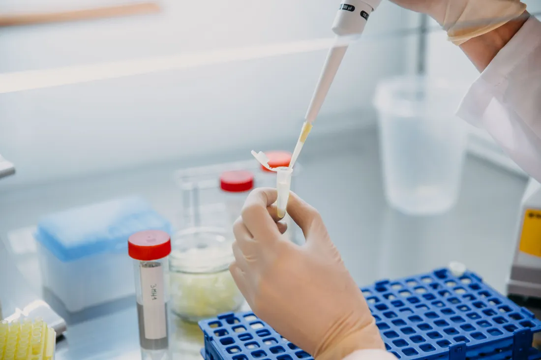 Sample image thumbnail